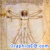 da vinci vitruvian man