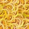 Spaghetti Noodles