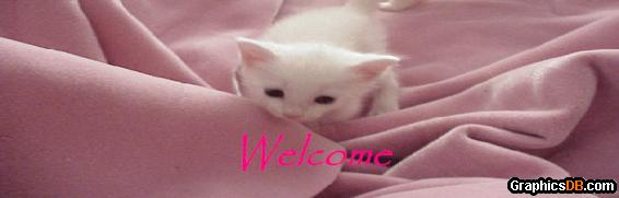 kitty cat welcome sign
