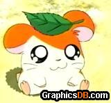 hamtaro