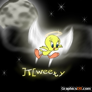 tweety bird in the night sky