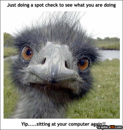 Computer Emu