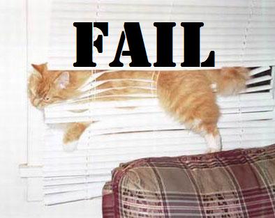cat fail-12844