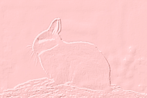 pink rabbit