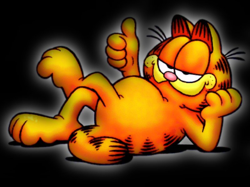 Garfield black