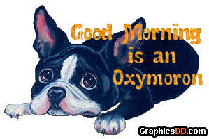 Good Morning is an Oxymoron