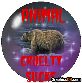 Animal cruelty sucks