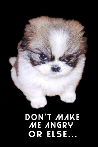 Angry Puppy iPhone Wallpaper