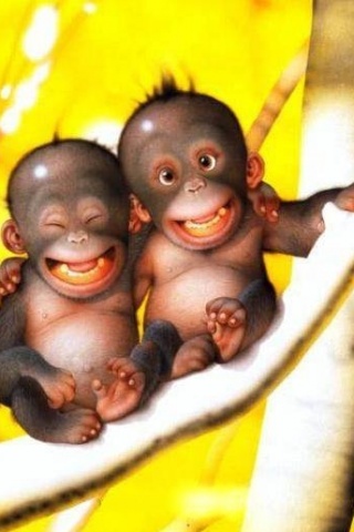 Crazy Monkeys iPhone Wallpaper