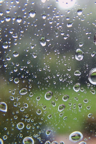 Rain Drops iPhone Wallpaper. Rated 0.00/5 by 0 people
