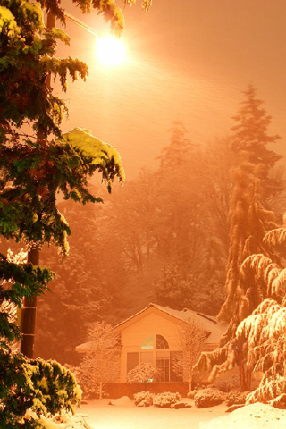 Winter Sunlight iPhone Wallpaper