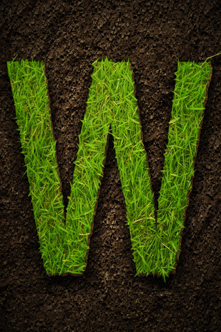 Grass Word iPhone Wallpaper