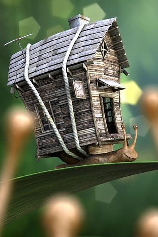 House Snail
