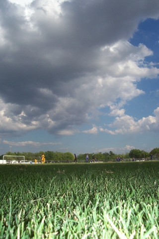 Sky and grass