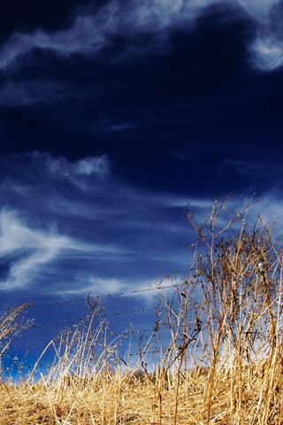 Stormy Sky