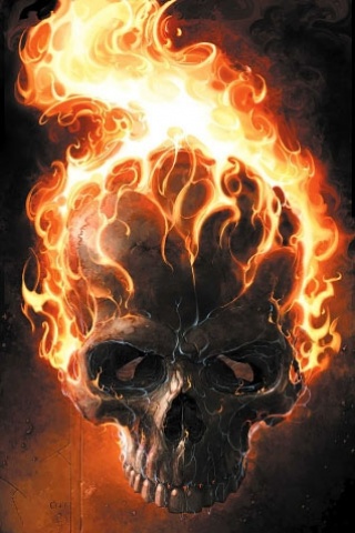 Flames Skull