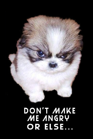 Angry Puppy