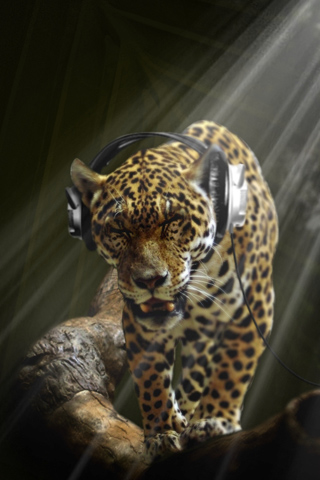 Music Leopard