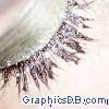 Sparkly Eyelashes