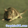 mouse the green mile