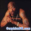 2 pac 355