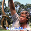 steve irwin16