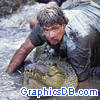 steve irwin5