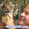 steve irwin and tiger