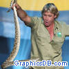 steve irwin snake