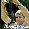 steve irwin snake1