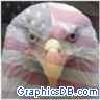 US eagle