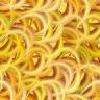 Spaghetti Noodles