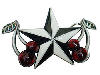 star and cherries