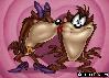 taz devil love looneytoons