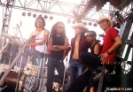 Slank