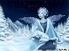 Beautiful Winter fairy