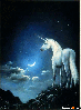 night unicorn