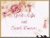 good night and sweet dreams