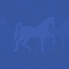 blue horse