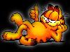 Garfield black