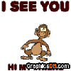 Hi Monkey