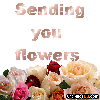 sending flowers