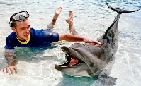 justin timberlake and a dolphin-2031
