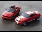 Ford Shelby GT500 mustangs