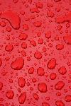 Wet on Red iPhone Wallpaper