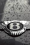 Bentley Badge