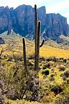 Superstition Mountains