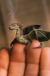 Tiny Dragon