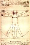 Vitruvian Man