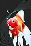 Vector Goldfish
